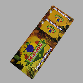 Plastic Card & 1 Key Tag - 0.76mm